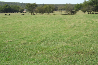 Rouse Road Ranch 405 acres