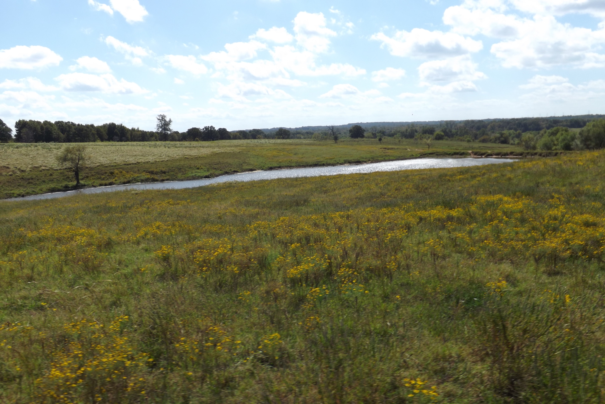 600-acres-recreational-land-for-sale-seminole-county-ok-land-and