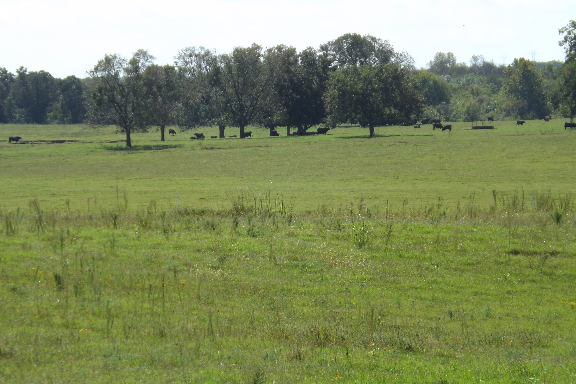 600-acres-recreational-land-for-sale-seminole-county-ok-land-and